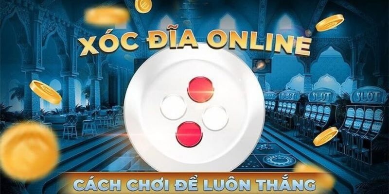 Cách Bắt Cầu Xóc Đĩa: Bí Kíp Bách Chiến Bách Thắng Từ Chuyên Gia