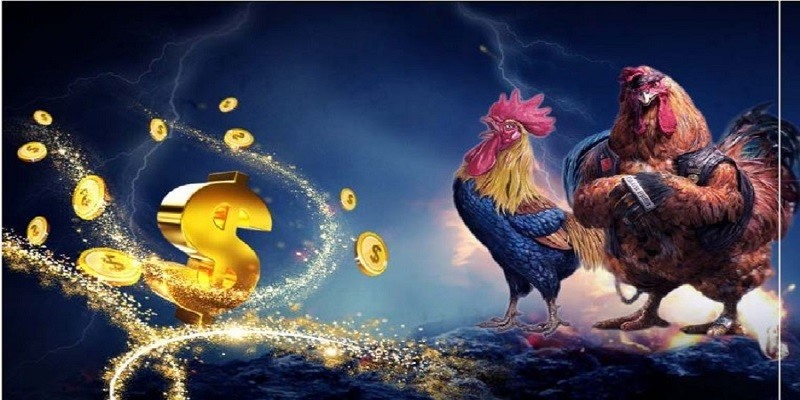 Game Đá Gà Online: Khám Phá Sân Chơi Kịch Tính Và Cơ Hội Thắng Lớn
