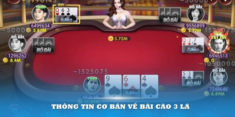 Bài Cào 3 Lá Là Gì? Hướng Dẫn Chi Tiết Từ A Đến Z